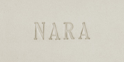 Aardvark Clay's Nara P Clay (cone 10)