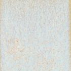 Coyote Fantasy Glaze - MBG222pt - Star Dust - 16 oz.