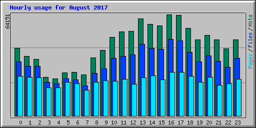 Hourly usage for August 2017